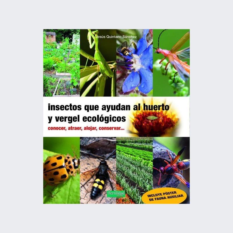 Insectos que ayudan al huerto y vergel ecológicos